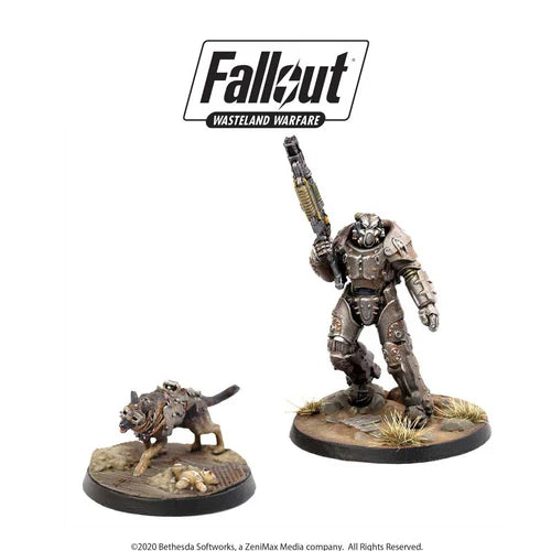 X-01 Survivor and Dogmeat